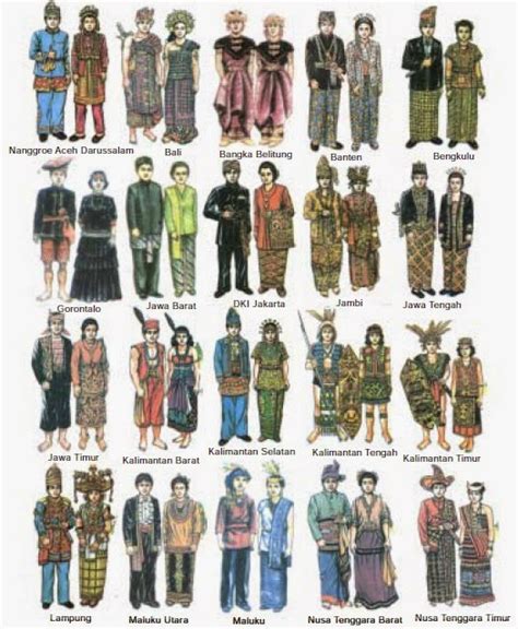 daftar gambar pakaian adat  pakaian daerah provinsi  indonesia materi bahan ajar
