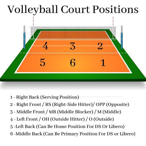 girls volleyball positions vb player positions numbered court
