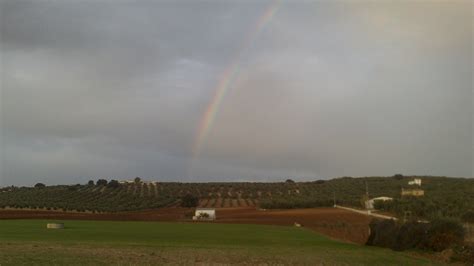 rainbow  andalucia    properties  sale   area  spain  httpwww
