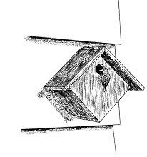 project shed  access tree swallow birdhouse plans