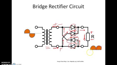 rectifier rectifier circuit diagram ac  dc youtube
