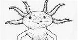 Axolotl Template sketch template