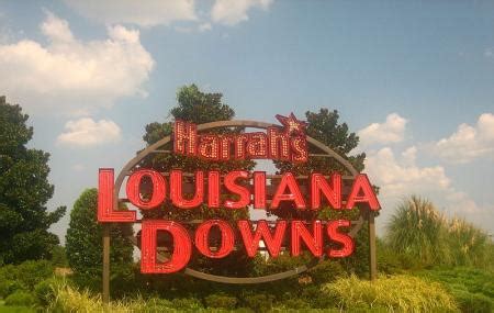 louisiana downs bossier city ticket price timings address triphobo