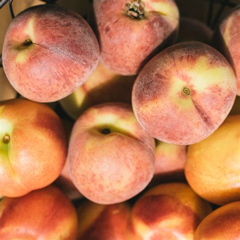 peaches boston organics