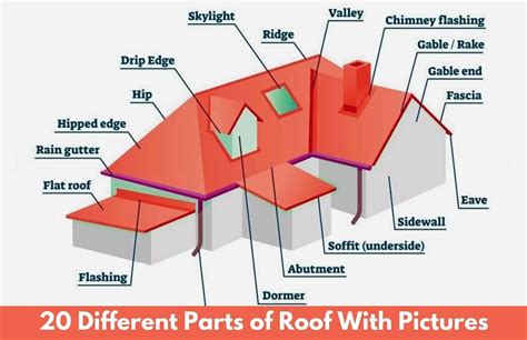 parts  roof parts terminology roof diagram roof structure