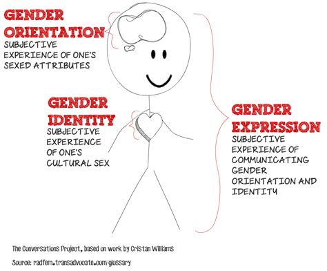 gender orientation identity and expression transadvocate