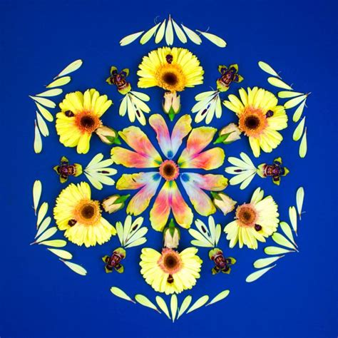 check out kathy klein s web site to see gorgeous mandalas made from flowers and other natural