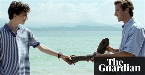 call me by your name review gorgeous gay love story