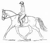 Caballo Colorear Jinete Posture Jumping Kleurplaten Paarden Doma Springende Pferde sketch template
