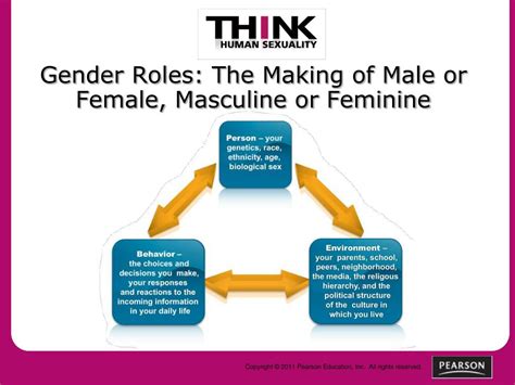 ppt chapter 3 gender now powerpoint presentation free download id