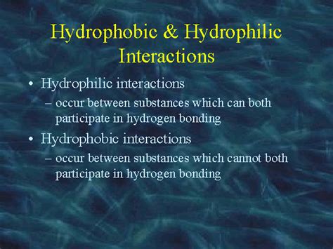 hydrophobic hydrophilic interactions