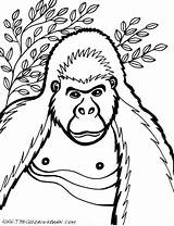 Coloring Pages Gorilla Kids Baby Cartoon Printable Drawing Cute Face Silverback Animal Cliparts Color Draw Getcolorings Print Getdrawings Snowflake Animals sketch template