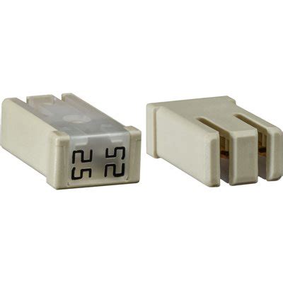mcase slotted  amp fuse