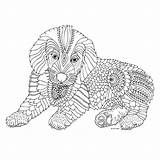 Coloring Pages Keiti Printable Adult Dog Antistresové Omalovánky Colouring Vytisknutí Colouringpages Eu Dogs Adults Puppies sketch template