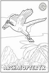 Archaeopteryx Archeopteryx Dinosaur Crayons Grab Kidsactivitiesblog sketch template