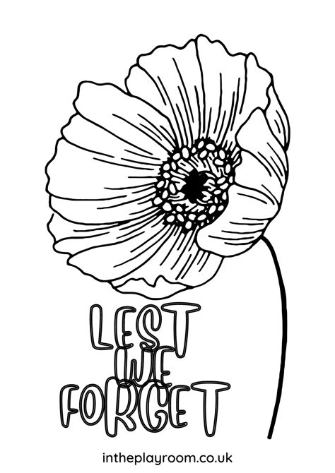 poppy colouring pages learning  remembrance day  children