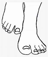 Feet Clipart Toes Clip Drawing Toe Drawn Foot Kindpng Getdrawings sketch template