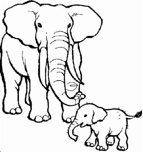 baby zoo animal coloring pages