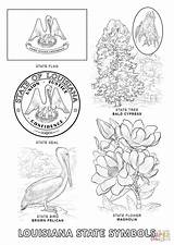 Louisiana Symbols Coloring Pages State Tree Printable Clipart Color Bird Flower Flag Choose Board Getcolorings Designlooter Clipground Popular Coloringhome Template sketch template