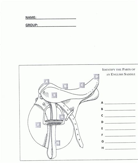 english saddle parts worksheet workbooks pinterest worksheets saddles  english