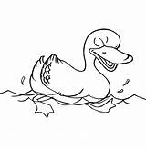 Duck Mallard Pencil Ducks Getdrawings Drawing sketch template