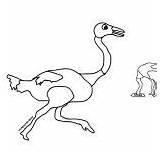 Ostrich Coloring Running Race Wild sketch template