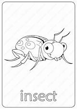 Insect Coloring Printable Pdf Book Whatsapp Tweet Email sketch template