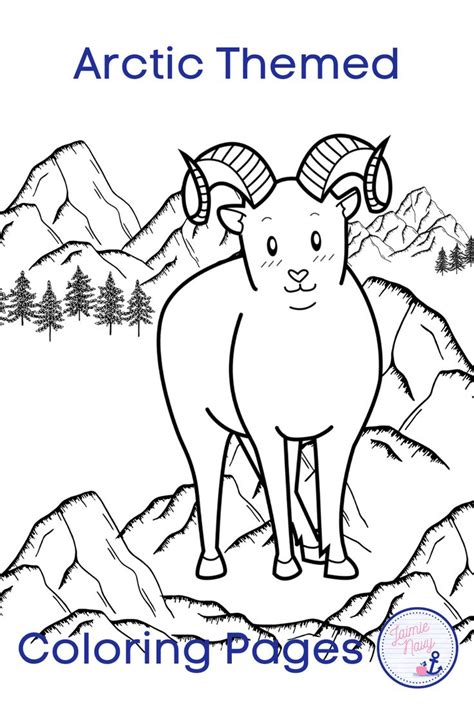 arctic animals  coloring pages   arctic animals coloring