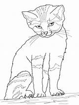 Downloadable Coloring Pages Cat Kids sketch template