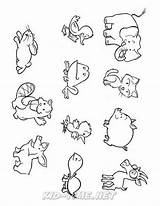 Animals sketch template