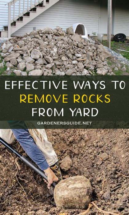 effective ways  remove rocks   landscape landscaping