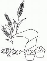 Wheat Grains Bread Colorear Brot Coloringhome sketch template