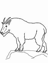 Goat Mountain Coloring Pages Drawing Outline Printable Size Color Colorluna Print Getdrawings sketch template