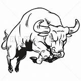 Bull Drawing Clipart Line Charging Fighting Bulls Clip Vector Template Sketch Coloring Pages Clipartmag Webstockreview Clker Rating Station sketch template