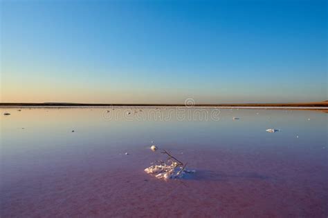 sunset  koyashsky zoutmeer met roze water stock foto image  avontuur park