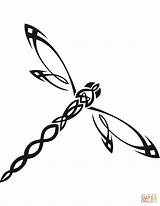 Coloring Dragonfly Pages Tattoo Printable Drawing sketch template