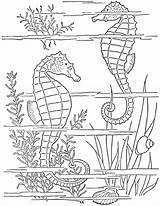 Coloring Seahorses Pages Adult 1950s Printable Color Getcolorings Click Print sketch template