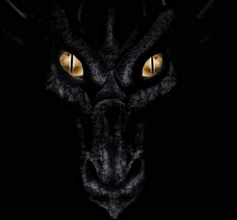 black face dragon eyes picture  wallpaper lovely creatures