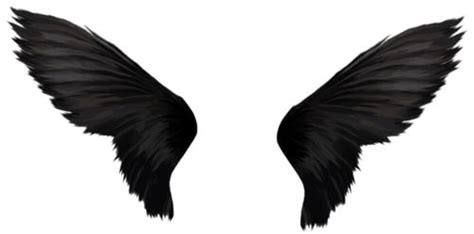wings angel wings png dark angel wings tumblr png raven wings wings