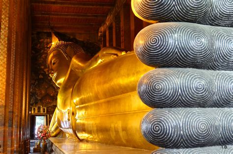 wat pho  temple   reclining buddha   thailand