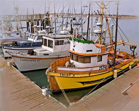 fishing boats  morro bay ca