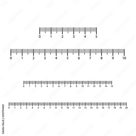 vettoriale stock ruler     grid   division