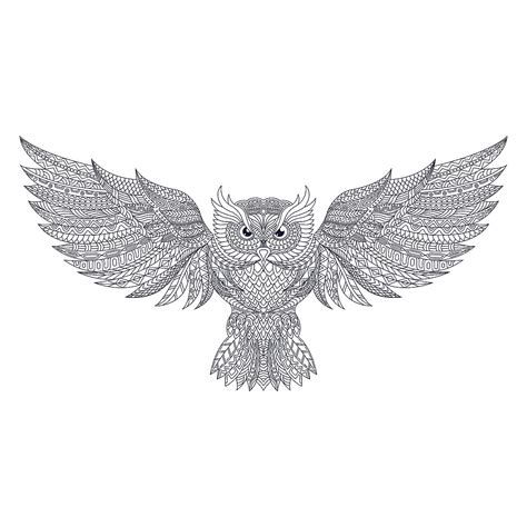 zentangle owl vector art png  art stylized owl zentangle vector