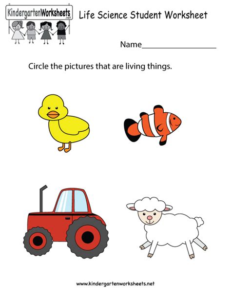 science kindergarten worksheets silopeportland