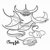 Ray Coloring Manta Vector Fish Line Pages Drawing Getdrawings Getcolorings Stingray Book Tattoo Tattoos Arte Raya Torpedo Colorear Para Visitar sketch template