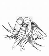 Hvid Tegninger Lovebird Samoan Aves Kleine sketch template