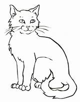 Cat Coloring Pages Domestic Animal Clever Looking sketch template
