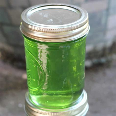 canning mint jelly creative homemaking