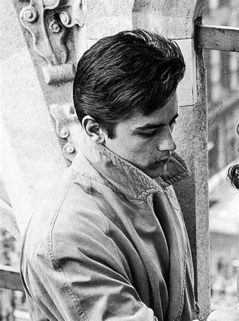 alain delon legends pinterest alain delon