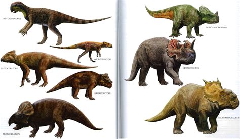 main dinosaurs variety     desktop